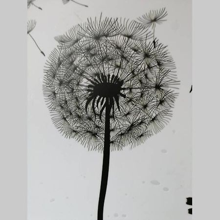 Ferienwohnung Pusteblume Mueddersheim Vettweiss Buitenkant foto